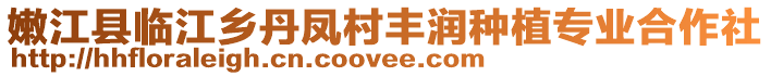 嫩江縣臨江鄉(xiāng)丹鳳村豐潤種植專業(yè)合作社