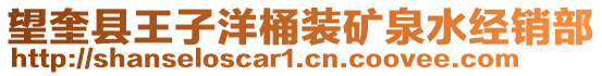 望奎縣王子洋桶裝礦泉水經(jīng)銷部