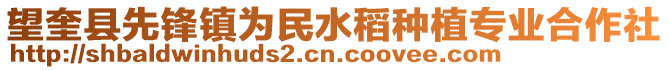 望奎县先锋镇为民水稻种植专业合作社