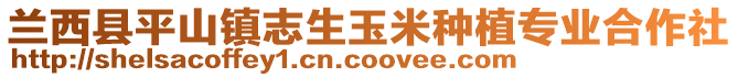 蘭西縣平山鎮(zhèn)志生玉米種植專業(yè)合作社