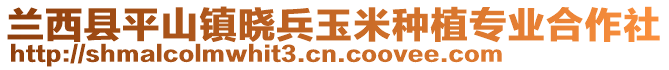 蘭西縣平山鎮(zhèn)曉兵玉米種植專業(yè)合作社