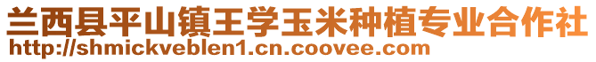 蘭西縣平山鎮(zhèn)王學(xué)玉米種植專業(yè)合作社