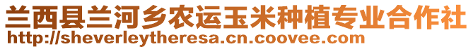 蘭西縣蘭河鄉(xiāng)農(nóng)運(yùn)玉米種植專業(yè)合作社