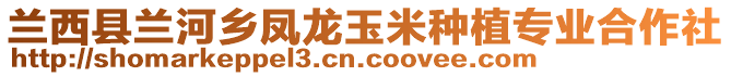 蘭西縣蘭河鄉(xiāng)鳳龍玉米種植專業(yè)合作社