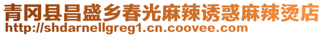 青岡縣昌盛鄉春光麻辣誘惑麻辣燙店
