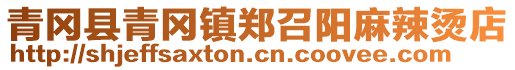 青岡縣青岡鎮(zhèn)鄭召陽麻辣燙店