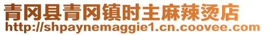 青岡縣青岡鎮時主麻辣燙店