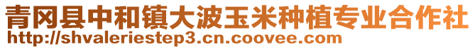 青岡縣中和鎮(zhèn)大波玉米種植專業(yè)合作社
