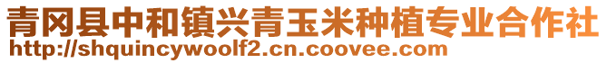 青岡縣中和鎮興青玉米種植專業合作社