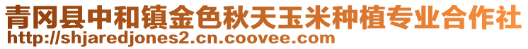 青岡縣中和鎮金色秋天玉米種植專業合作社