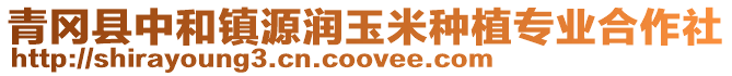 青岡縣中和鎮源潤玉米種植專業合作社
