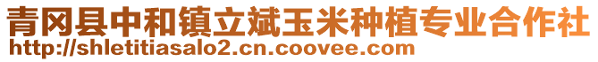 青岡縣中和鎮立斌玉米種植專業合作社