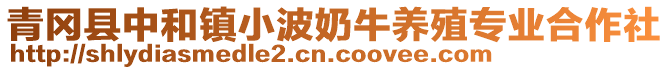 青岡縣中和鎮(zhèn)小波奶牛養(yǎng)殖專業(yè)合作社