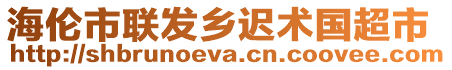 海倫市聯(lián)發(fā)鄉(xiāng)遲術國超市