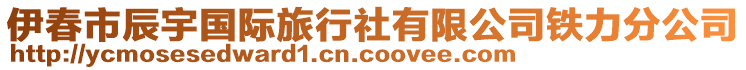 伊春市辰宇國(guó)際旅行社有限公司鐵力分公司