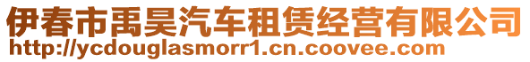 伊春市禹昊汽車租賃經(jīng)營有限公司