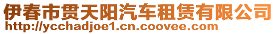 伊春市貫天陽汽車租賃有限公司