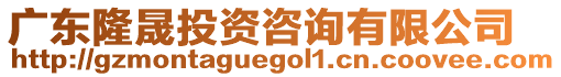 廣東隆晟投資咨詢有限公司