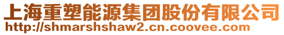 上海重塑能源集团股份有限公司