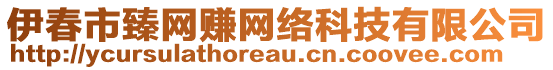 伊春市臻網(wǎng)賺網(wǎng)絡科技有限公司