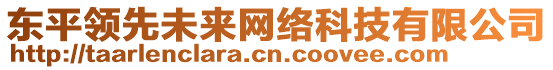 東平領(lǐng)先未來網(wǎng)絡(luò)科技有限公司