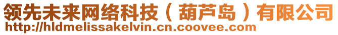 領(lǐng)先未來(lái)網(wǎng)絡(luò)科技（葫蘆島）有限公司