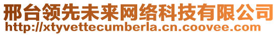 邢臺(tái)領(lǐng)先未來(lái)網(wǎng)絡(luò)科技有限公司