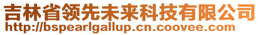 吉林省領(lǐng)先未來(lái)科技有限公司