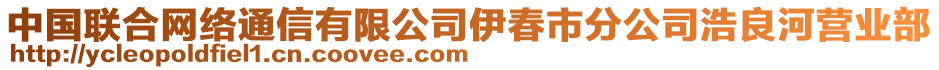 中國聯(lián)合網(wǎng)絡通信有限公司伊春市分公司浩良河營業(yè)部