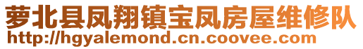 蘿北縣鳳翔鎮(zhèn)寶鳳房屋維修隊(duì)