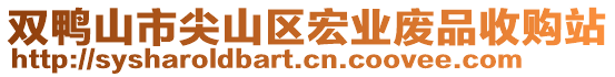 雙鴨山市尖山區(qū)宏業(yè)廢品收購(gòu)站