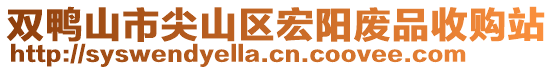 雙鴨山市尖山區(qū)宏陽廢品收購站