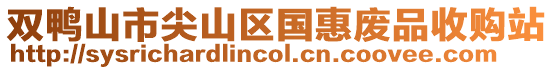 雙鴨山市尖山區(qū)國惠廢品收購站