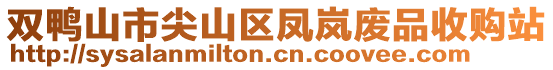 雙鴨山市尖山區(qū)鳳嵐廢品收購站