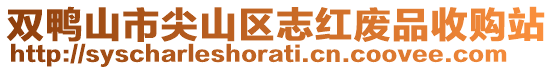 雙鴨山市尖山區(qū)志紅廢品收購站