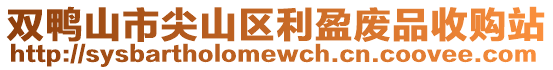 雙鴨山市尖山區(qū)利盈廢品收購站