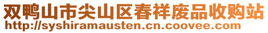 雙鴨山市尖山區(qū)春祥廢品收購站