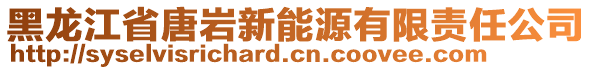 黑龍江省唐巖新能源有限責(zé)任公司