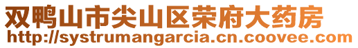 雙鴨山市尖山區(qū)榮府大藥房