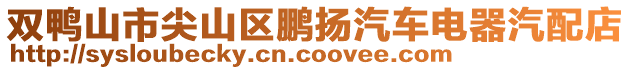 雙鴨山市尖山區鵬揚汽車電器汽配店