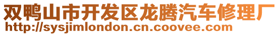 雙鴨山市開發區龍騰汽車修理廠