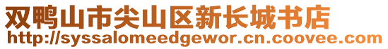 雙鴨山市尖山區新長城書店