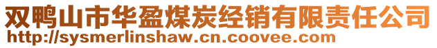 雙鴨山市華盈煤炭經銷有限責任公司