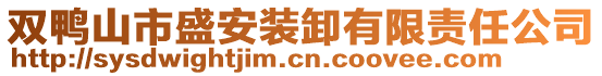 雙鴨山市盛安裝卸有限責任公司