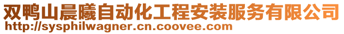 雙鴨山晨曦自動化工程安裝服務有限公司