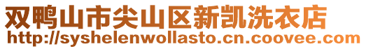 雙鴨山市尖山區新凱洗衣店