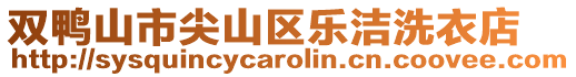雙鴨山市尖山區樂潔洗衣店