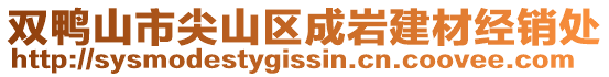 双鸭山市尖山区成岩建材经销处