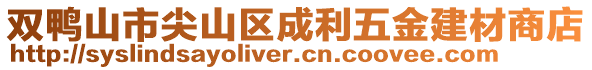 雙鴨山市尖山區(qū)成利五金建材商店