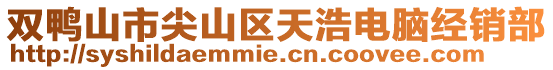 双鸭山市尖山区天浩电脑经销部